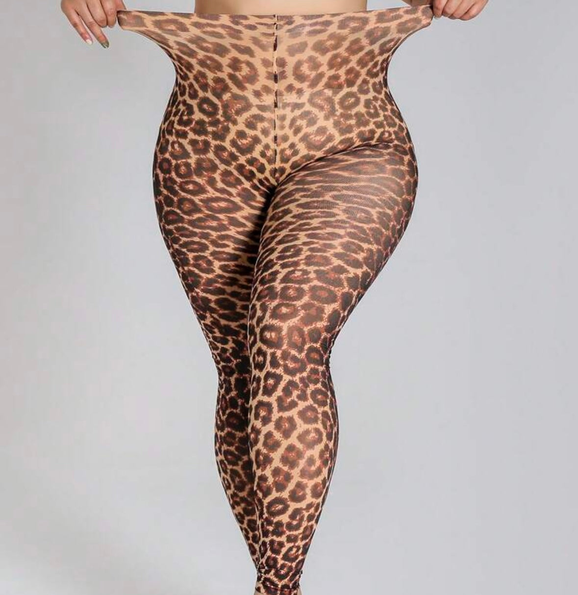 One size (Plus Size)Cheetah tights